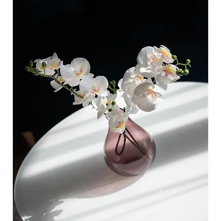 דירה Metro Dworzec Gdanski Elegant Studio ורשה