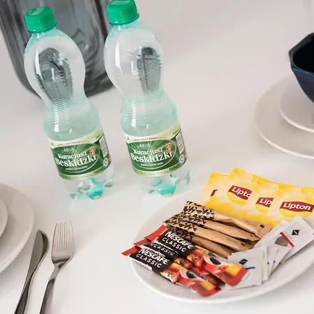 Metro Dworzec Gdanski Elegant Studio Daire Varşova